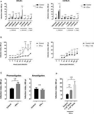 Interferon Alpha Favors Macrophage Infection by Visceral Leishmania Species Through Upregulation of Sialoadhesin Expression